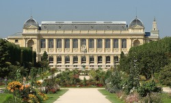 A fabulous tour of the Jardin des Plantes and Museum of Natural History