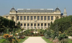 An ideal place to visit in the spring: the Jardin des Plantes