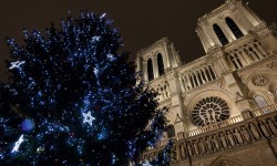 The joy of Sacred Music at Notre Dame de Paris
