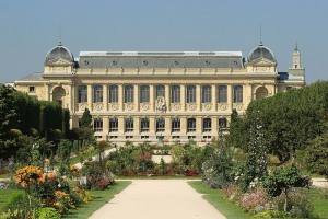 Une visite idéale pour le printemps : le Jardin des Plantes